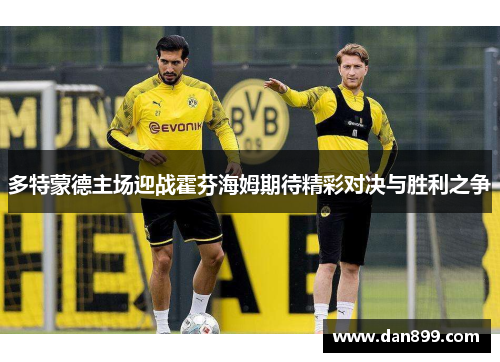 多特蒙德主场迎战霍芬海姆期待精彩对决与胜利之争